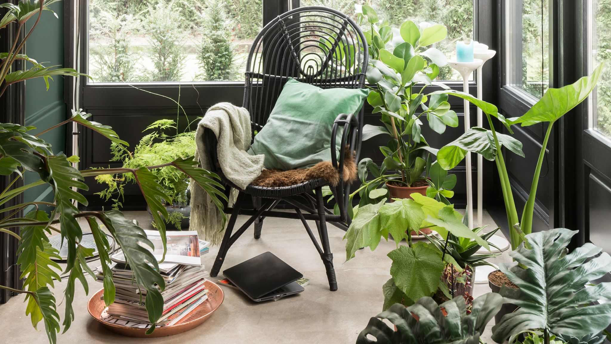 Jasne pomieszczenie z roślinami Botaniczne motywy, naturalne tkaniny i organiczne materiały łagodzą atmosferę wnętrz.